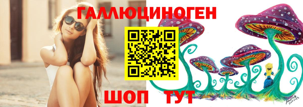 Галлюциногенные грибы мицелий Балтийск