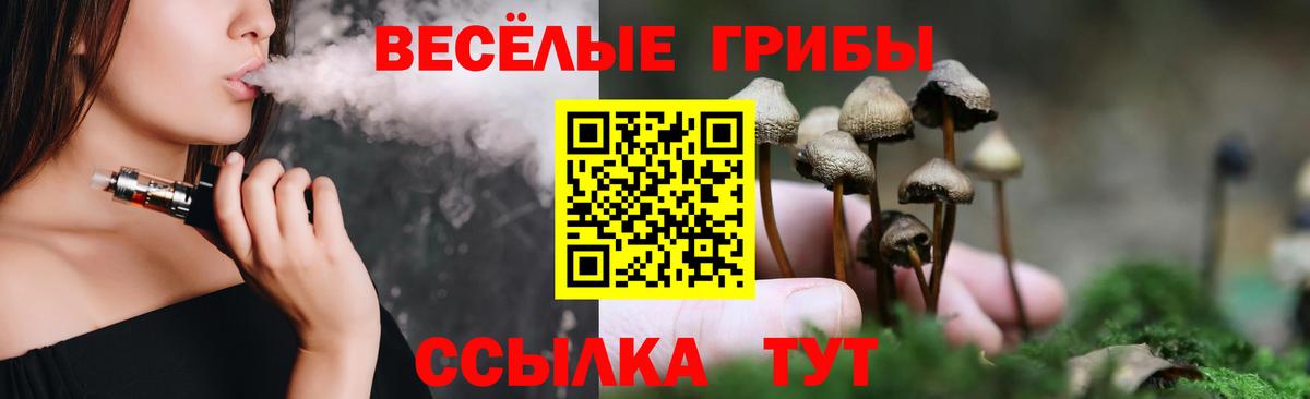 купить наркотик  Галлюциногенные грибы ЛСД  Вход с VPN  Балтийск 